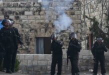 Retrasar la investigación de los crímenes de Israel es fortalecer la impunidad Retrasar la investigación de los crímenes de Israel es fortalecer la impunidad