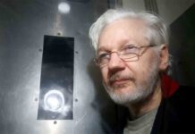 Un relator de la ONU pide a Trump que indulte a Assange Un relator de la ONU pide a Trump que indulte a Assange para "enviar un mensaje de humanidad al mundo"