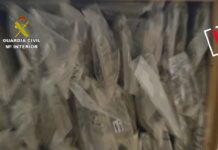 Desarticuladas dos organizaciones dedicadas al transporte de droga a gran escala Desarticuladas dos organizaciones dedicadas al transporte de droga a gran escala