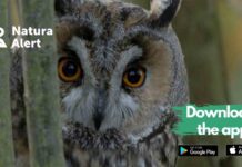 BirdLife: Uso de la ciencia ciudadana para proteger la naturaleza BirdLife: Uso de la ciencia ciudadana para proteger la naturaleza
