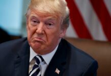 Los fiscales estatales presentarán esta semana cargos penales contra las empresas de Trump Los fiscales estatales presentarán esta semana cargos penales contra las empresas de Trump