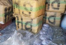 Interceptan en una furgoneta 170 kilos de hachís con destino Francia Interceptan en una furgoneta 170 kilos de hachís con destino Francia