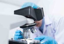 Una vacuna del CSIC para la COVID-19 muestra una eficacia del 100% en ratones Una vacuna del CSIC para la COVID-19 muestra una eficacia del 100% en ratones