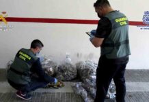 Desarticulado un grupo dedicado al tráfico de migrantes desde Melilla a la península Desarticulado un grupo dedicado al tráfico de drogas y tráfico de migrantes desde Melilla a la península