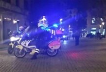 Detenido un hombre en Girona por dejar inconsciente a un perro Detenido un hombre en Girona por dejar inconsciente a un perro