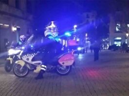 Detenido un hombre en Girona por dejar inconsciente a un perro Detenido un hombre en Girona por dejar inconsciente a un perro