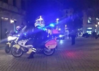 Detenido un hombre en Girona por dejar inconsciente a un perro Detenido un hombre en Girona por dejar inconsciente a un perro