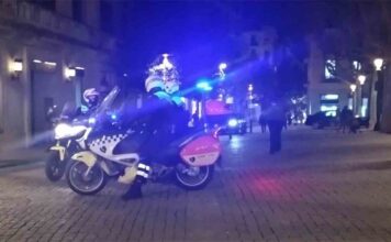 Detenido un hombre en Girona por dejar inconsciente a un perro Detenido un hombre en Girona por dejar inconsciente a un perro