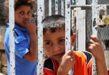 La Corte Penal Internacional podrá investigar crímenes de guerra en Palestina La Corte Penal Internacional podría investigar crímenes de guerra en Palestina