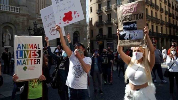 Manifestaciones en toda España para poner fin a la experimentación con animales