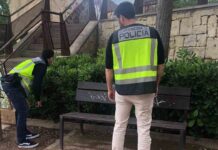 Trece detenidos en Alicante por una agresión homófoba a un joven Trece detenidos en Alicante por una agresión homófoba a un joven