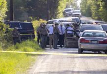 Un muerto y cinco heridos en un tiroteo en el Estado de Texas Un muerto y cinco heridos en un tiroteo en el Estado de Texas
