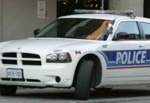 Detenida en Canadá una fugitiva buscada en España por corrupción de menores Detenida en Canadá una fugitiva buscada en España por corrupción de menores