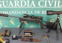 Detenidos dos cazadores furtivos en Burgos con dos corzos y un gato montés muertos Detenidos dos cazadores furtivos en Burgos con dos corzos y un gato montés muertos