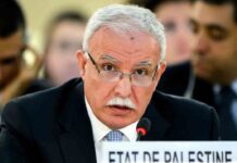 La ANP pide a la CPI que investigue los crímenes de guerra de Israel