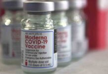 La OMS autoriza el uso de la vacuna de Moderna para uso de emergencia La OMS autoriza el uso de la vacuna de Moderna