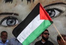 La ONU es incapaz de tener una declaración conjunta sobre la masacre en Gaza La ONU es incapaz de tener una declaración conjunta sobre la masacre en Gaza