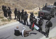 La importancia de la postura de Turquía sobre la causa palestina La importancia de la postura de Turquía sobre la causa palestina