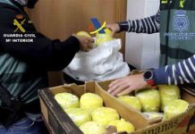 Localizan un alijo de piñas de Costa Rica rellenas de cocaína Localizan un alijo de piñas de Costa Rica rellenas de cocaína