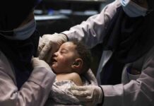 No critiquen a Toni Cantó, solamente es un iluso No critiquen a Toni Cantó, solamente es un iluso