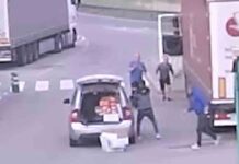 4 detenidos por robos a camiones con el método telonero en las áreas de servicio