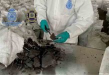 Incautados 800 kilos de cocaína con forma de carbón vegetal Incautados 800 kilos de cocaína con forma de carbón vegetal
