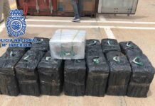 Intervienen 450 kilos de cocaína en Las Palmas que tenía como destino València Intervienen 450 kilos de cocaína en Las Palmas que tenía como destino València