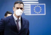 Los cisnes negros de Pedro Sánchez Los cisnes negros de Pedro Sánchez - Operación 'Acoso y derribo del Gobierno Sánchez'
