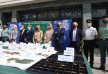 Recuperadas piezas prehistóricas de alto valor arqueológico Recuperadas piezas prehistóricas de alto valor arqueológico