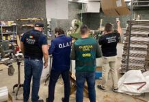 Desarticulada una organización dedicada a la fabricación de tabaco ilegal Desarticulada una organización dedicada a la fabricación de tabaco ilegal