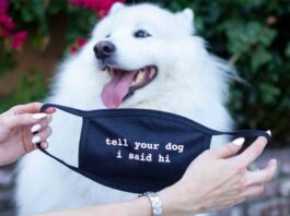 ¿Pueden los perros contraer coronavirus? ¿Pueden los perros contraer coronavirus?