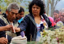 El asesinato de Berta Cáceres conmocionó al mundo, pero continúan los asesinatos de activistas El asesinato de Berta Cáceres conmocionó al mundo, pero continúan los asesinatos de activistas ambientales