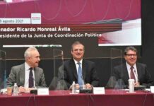 México propone dar fin a la Organización de Estados Americanos México propone dar fin a la Organización de Estados Americanos