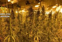 26 detenidos en una macrooperación contra el tráfico de drogas en Toledo y Madrid Macrooperación contra el tráfico de drogas en Toledo y Madrid
