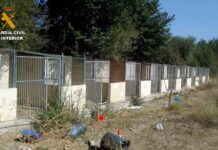 Dos detenidos por maltrato de perros en una residencia canina de Madrid Dos detenidos por maltrato de perros en una residencia canina de Madrid
