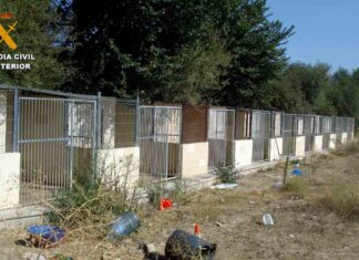Dos detenidos por maltrato de perros en una residencia canina de Madrid Dos detenidos por maltrato de perros en una residencia canina de Madrid