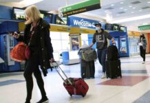 EE.UU. abrirá las fronteras en noviembre a los europeos vacunados EEUU abrirá las fronteras en noviembre a los europeos vacunados