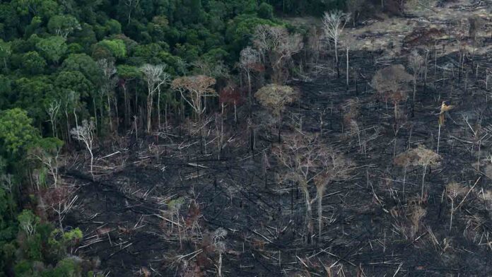 EEUU lanzará un pacto en toda la Amazonía para reducir la deforestación