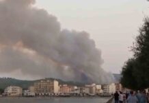 Detenido un hombre por provocar doce incendios en Catalunya Detenido un hombre por provocar doce incendios en Catalunya