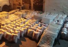 Operativo europeo contra el tráfico de armas y drogas Operativo europeo contra el tráfico de armas y drogas