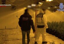 Cinco detenidos de una organización desarticulada de producción de marihuana Cinco detenidos de una organización desarticulada de producción de marihuana