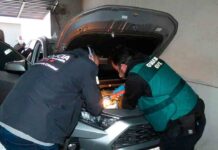 Desarticulado un grupo dedicado al tráfico de vehículos Desarticulado un grupo dedicado al tráfico de vehículos