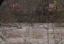 Encuentran el cuerpo sin vida del hombre desaparecido en Elizondo Encuentran el cuerpo sin vida del hombre desaparecido en Elizondo