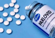 La EMA autoriza el uso de la píldora de Pfizer contra la Covid La EMA autoriza el uso de la píldora de Pfizer contra la Covid