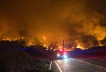 Un incendio forestal en California obliga a evacuar a cientos de personas Un incendio forestal en California obliga a evacuar a cientos de personas