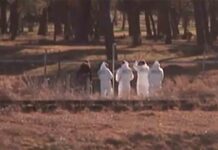 Encuentran el cuerpo sin vida de Esther López en Traspinedo Encuentran el cuerpo sin vida de Esther López en Traspinedo