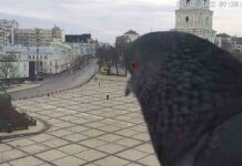 Las advertencias de Biden sobre una invasión rusa, solo son un juego político Las advertencias de Biden sobre una invasión rusa, solo son un juego político