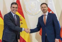 Sánchez llama a desvincular el precio del gas de la electricidad Sánchez llama a desvincular el precio del gas de la electricidad