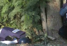 La ONU pide una investigación transparente sobre el asesinato de Abu Aklé La ONU pide una investigación transparente sobre el asesinato de Abu Aklé