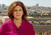 Asesinada a tiros por el ejército israelí una conocida periodista de Al Jazzera Asesinada a tiros por el ejército israelí una conocida periodista de Al Jazzera